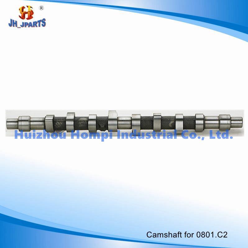 Auto Parts Camshaft for Citroen/FIAT/Peugeot/Suzuki/Talbot 1.9d 0801. C2