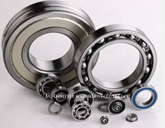 Motor Bearing, High Quality Bearing Deep Groove Ball Bearing 6021, 6021z, 6021-2z, 6021RS, 6021-2RS