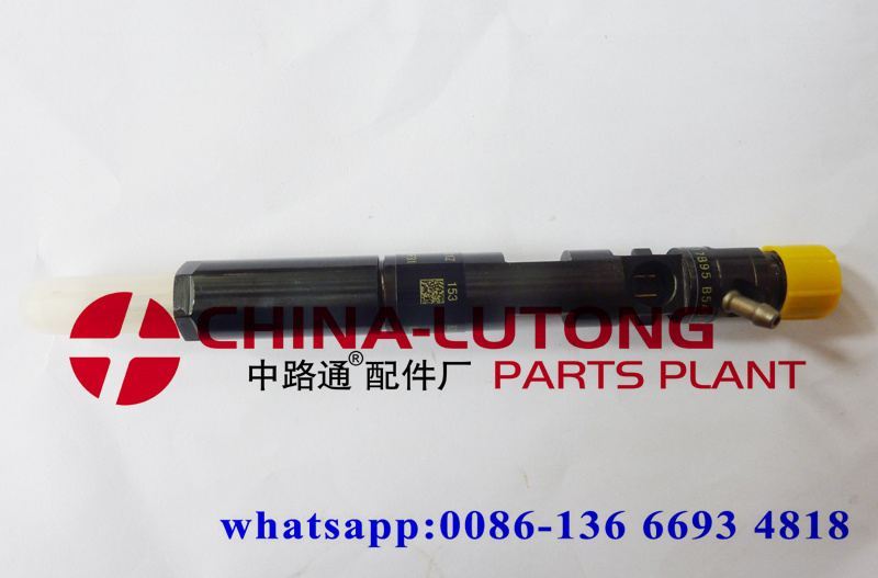 Delphi Injector-Diesel Engine Fuel Injectors A6510700587