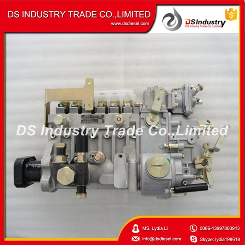Car Accessories Yuchai A87g0-1111100-493 Fuel Pump