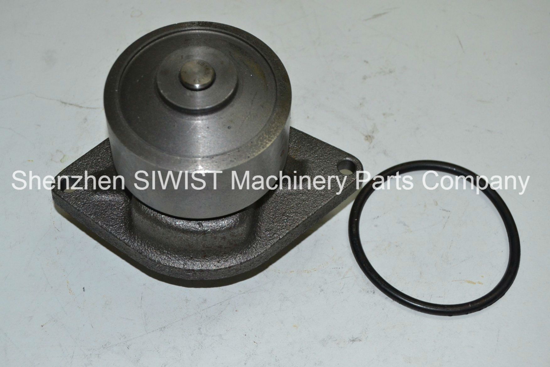 Water Pump Aw7145 120-3072 4891252 3800974 3960642 3415366 3800984 3389145 3802970 3802358 3802004 for R220-5, S6d102e, PC200-6/7/8 6bt5.9, PC220-7 Fd 1060