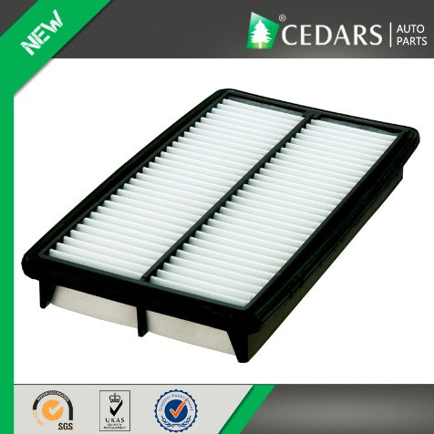 Reliable Suppliers Automotive Air Filter with 10 Years Experience