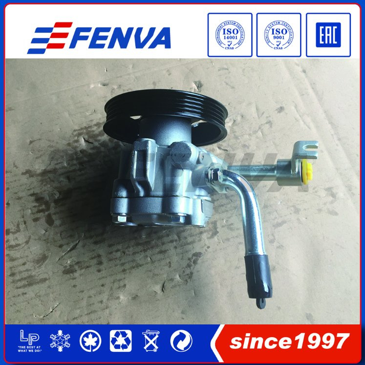 Premium Quality Power Steering Pump for Navara Yd25/ D04t (49110-EB700)