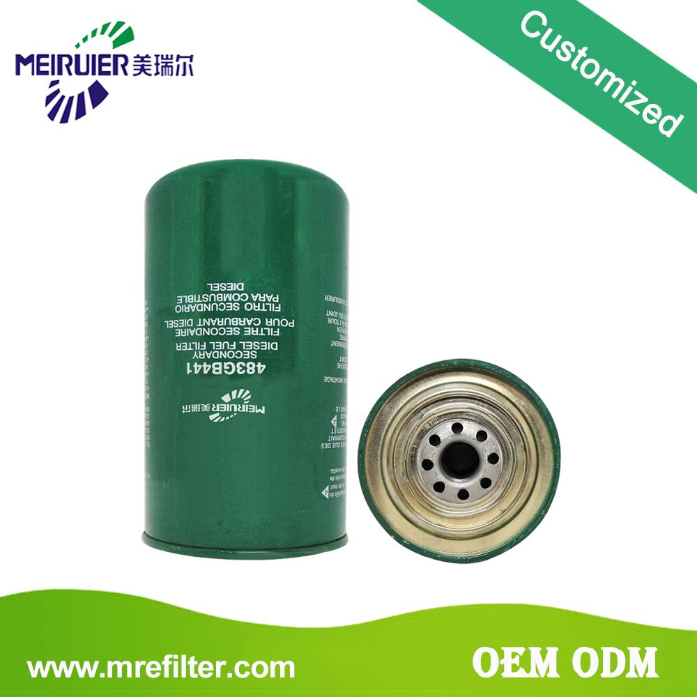 China Products/Suppliers. Factory Supply Auto Parts Element-Air Filter 483GB441 with Good Quality