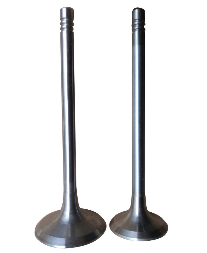 Inlet/Exhaust Valves for 912/913