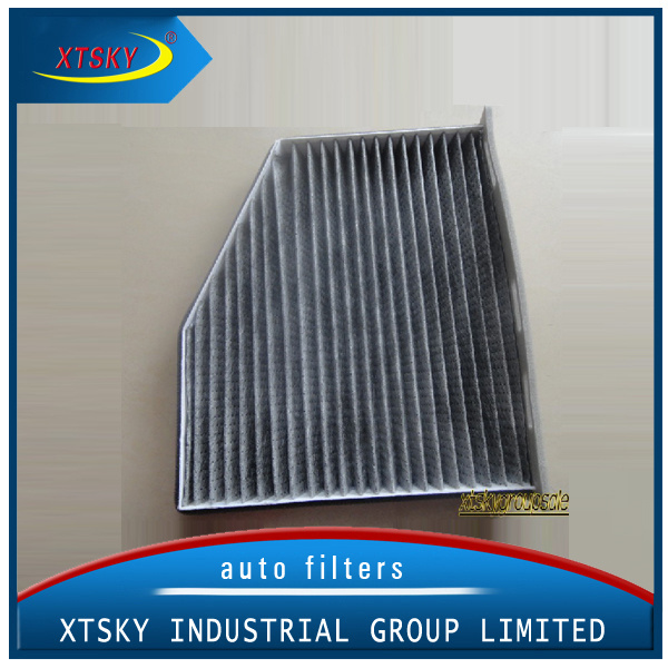 Activated Carbon Air Filter (1k1819653b)