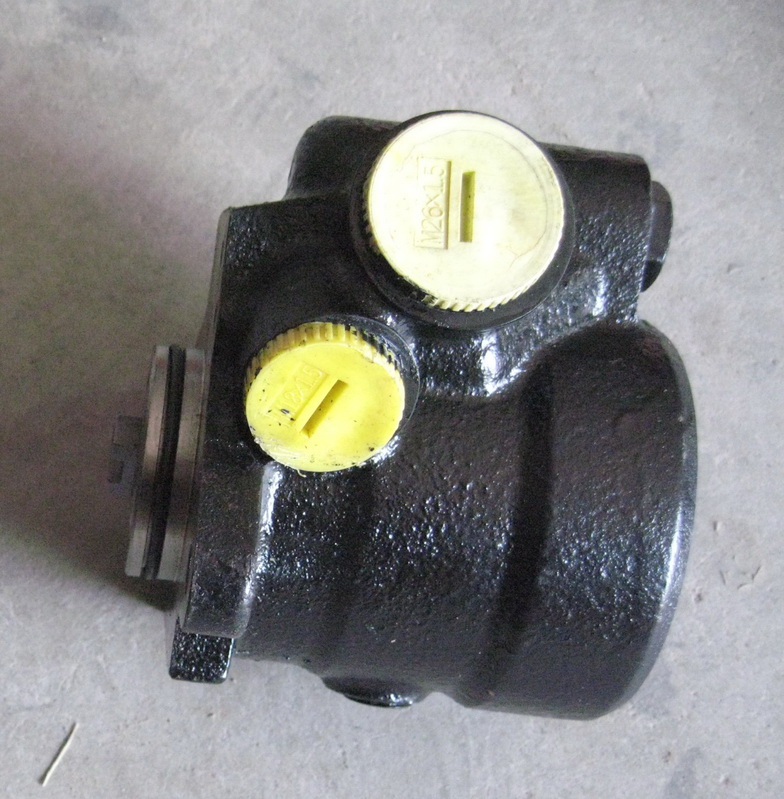 Cell Pump for Diesel Engine Bfm1015, Bfm1013