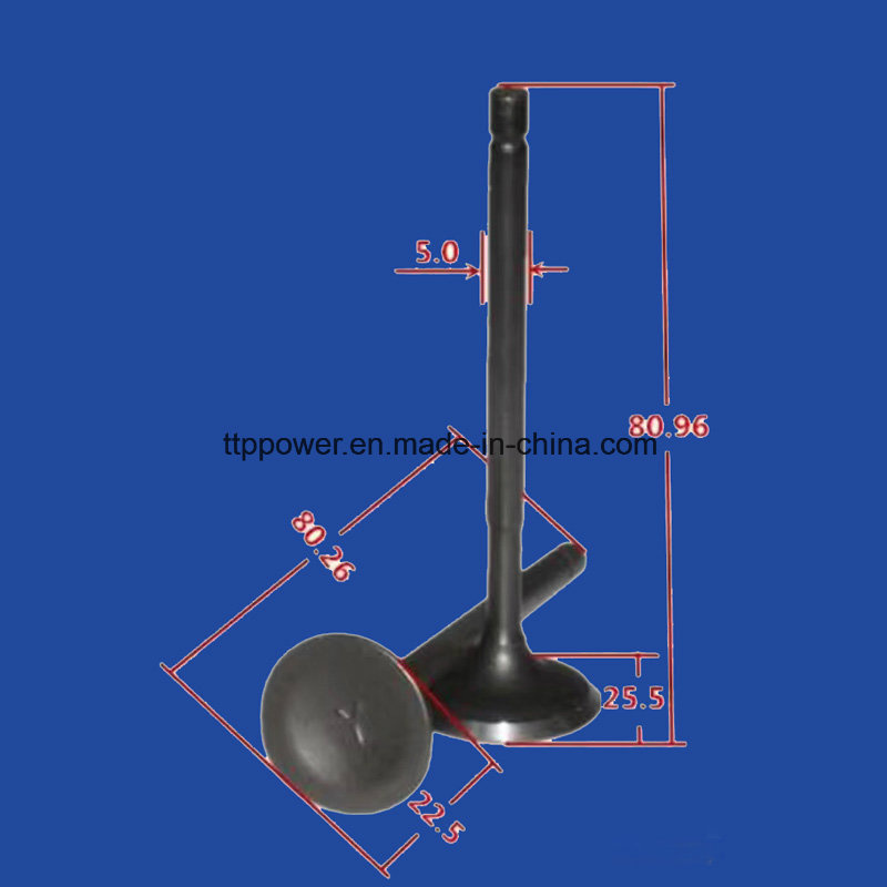Motorcycle Valve Inlet/Exhaust Set for An125