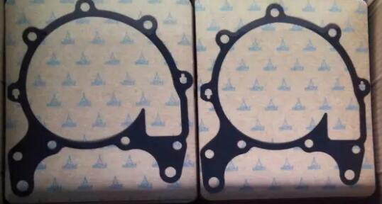 Water Pump Gasket for Engine Tcd2013