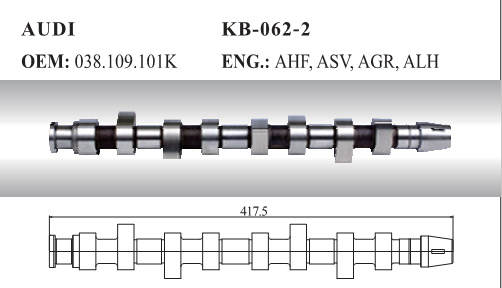 Auto Camshaft for Audi (038.109.101K)