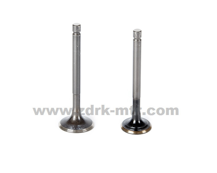 Inlet and Exhaust Valve for Boxer-Bm100-Classic/CT100
