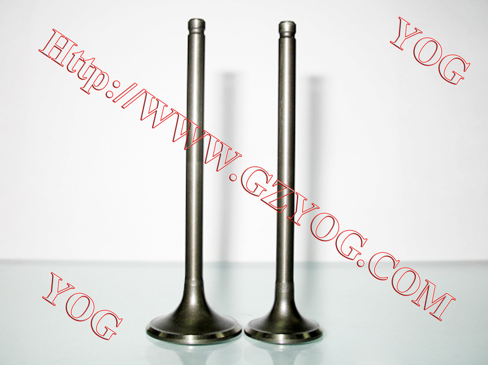Motorcycle Parts-Motorcycle Valve Cg 125 N