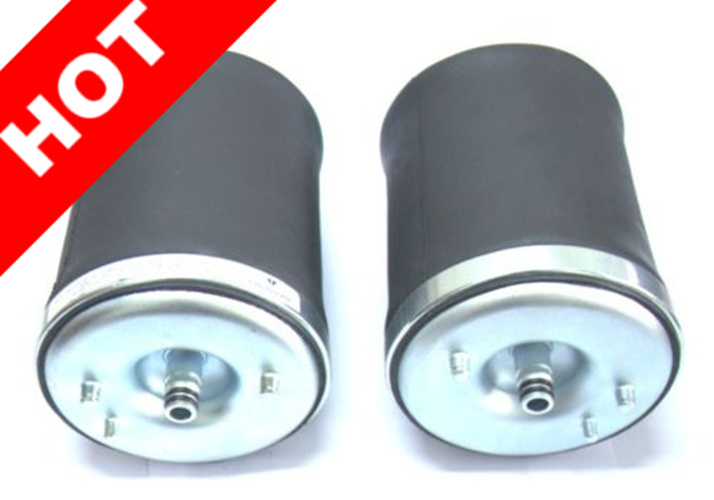 Air Suspension for BMW E39 for Rear 37121091614 37121094613