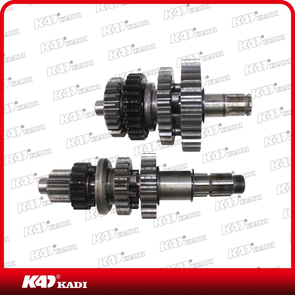 Motorcycle Parts Eco100 Motorcycle Gear Box