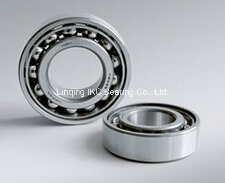 China Bearing, Auto Bearing, Ball Bearing6305, 6305z, 6305zz, 6305RS, 6305-2RS