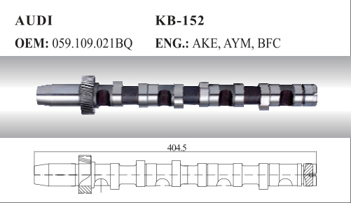 Auto Camshaft for Audi and Skoda (059.109.021bq)