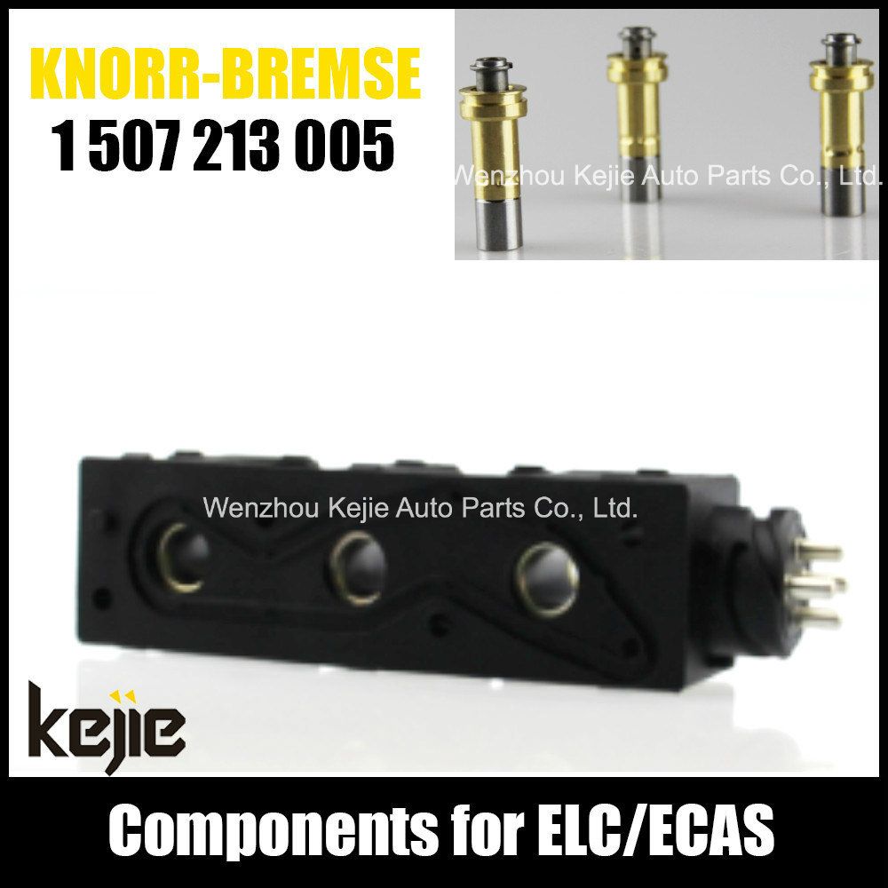 Ecas Elc Solenoid Valve Coil 1507213005 for Truck