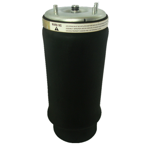 Atc Factory Offer Rear Shock Absorber for BMW E53 X5