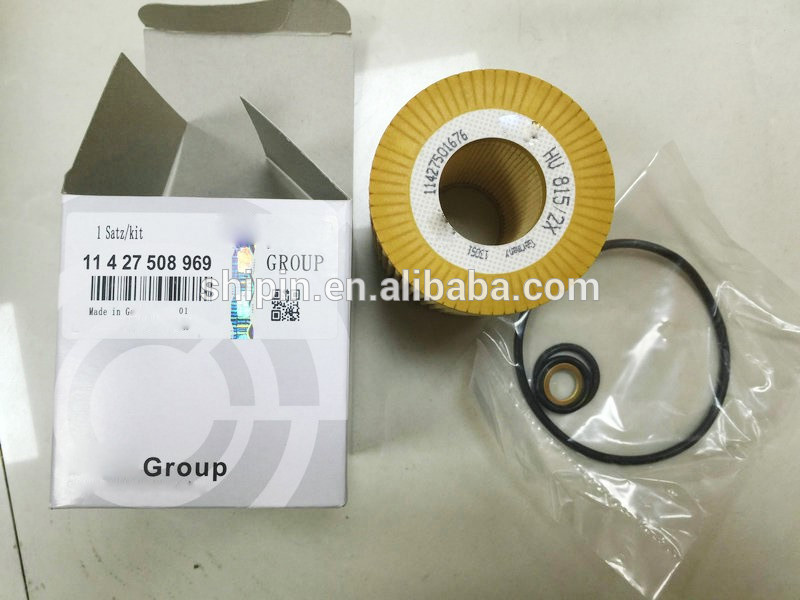 11427508969 in-Tank Diesel Fuel Filter for BMW