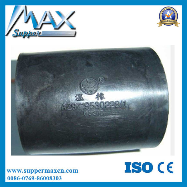 Sinotruk Parts Water Tank Hose Wg9719530228