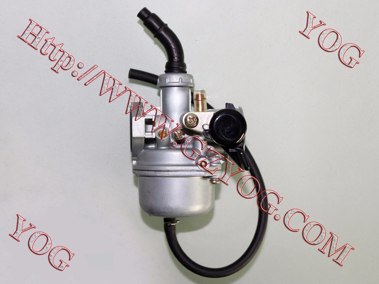 Motorcycle Spare Parts Motorcycle Carburetor for FT110