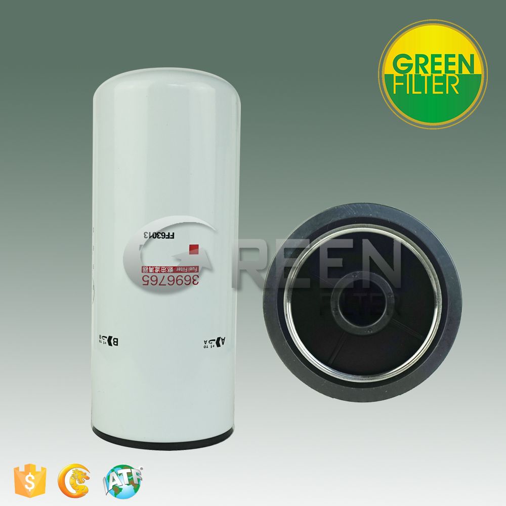 Fuel Filter for Auto Parts (FF63013) (3696765)