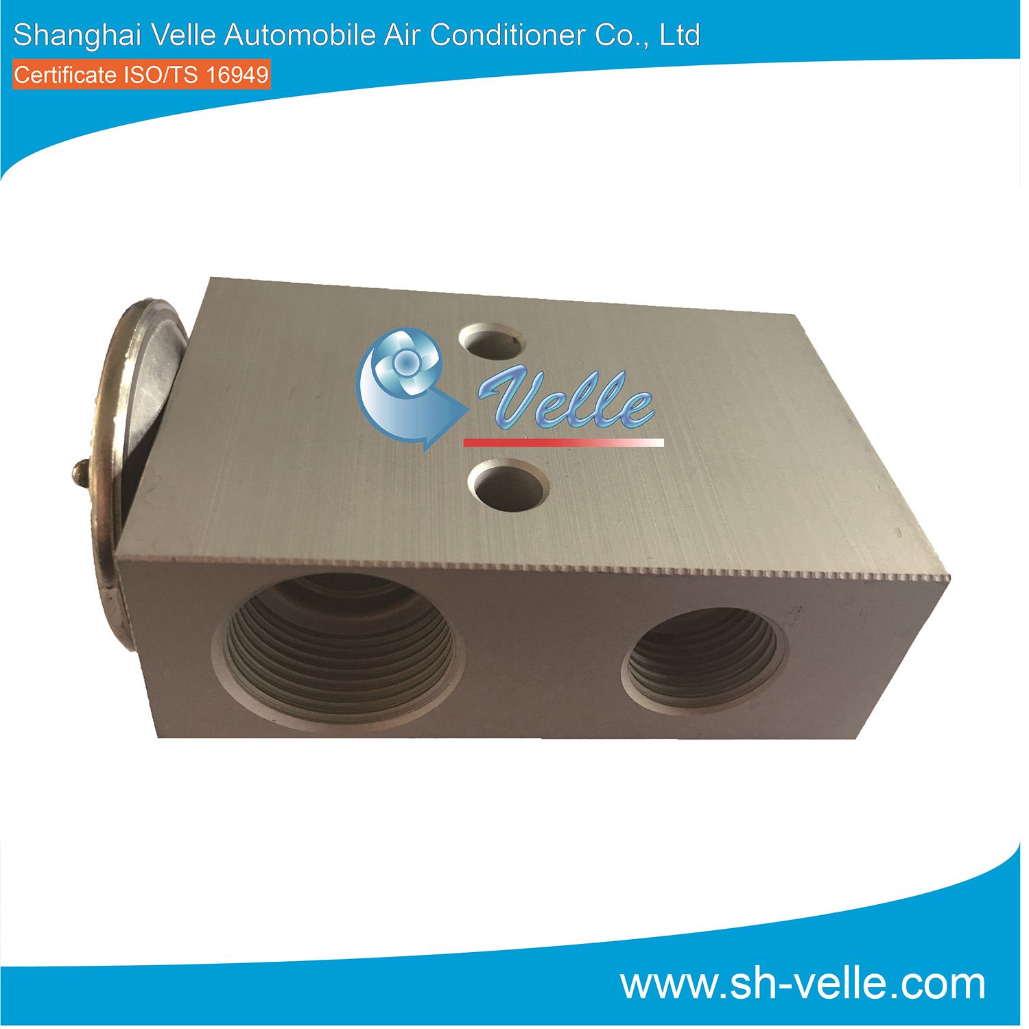 Customized Thermal Aluminum Expansion Valve OE#1000300919
