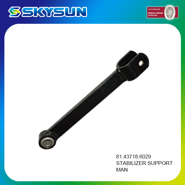 Truck Chassis Parts 81.43718.6029 Stabilizer Rod for Man