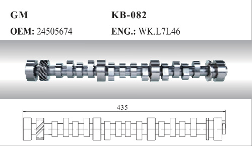 Auto Camshaft for GM (24505674)