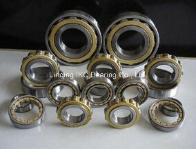 China Bearing, Cylindrical Roller Bearing N209, Nj209, Nu209, N309, Nj309, Nu309, Nup309nv, Nj309V