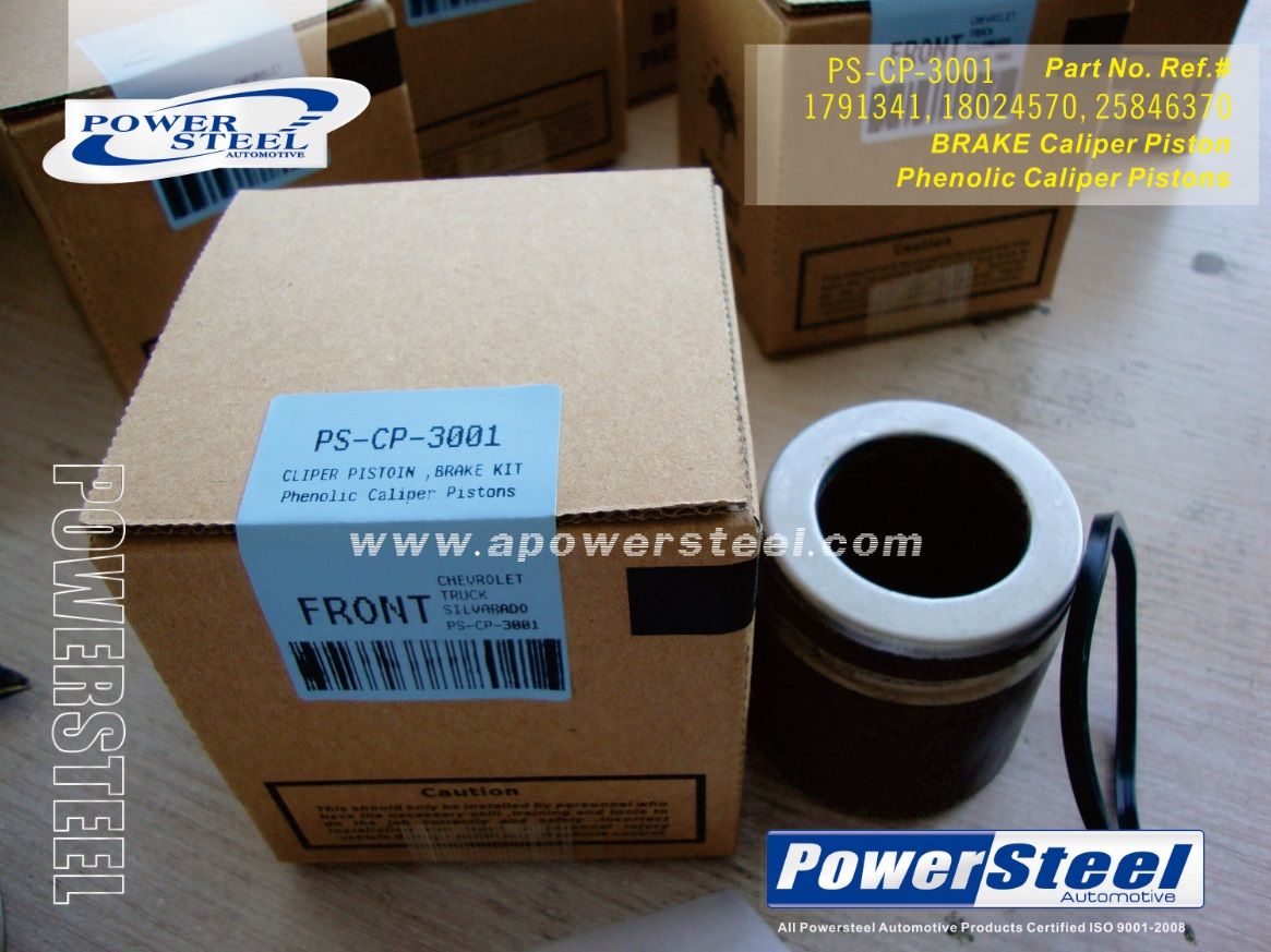 Brake Caliper Piston 1791341, 18024570, 25846370