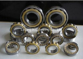 Cylindrical Roller Bearing Nj322, Nj2222, N222, Nu2220, Nj2220, N322, Nu322, Nu2322, Nj2322, Nn3022