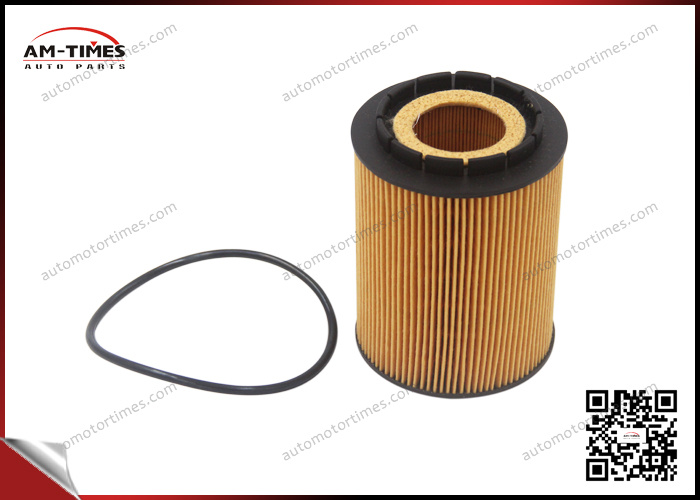 Car Crude Oil Filter Fuel Filter Element 95VW6714ab 0001801509 021115562A