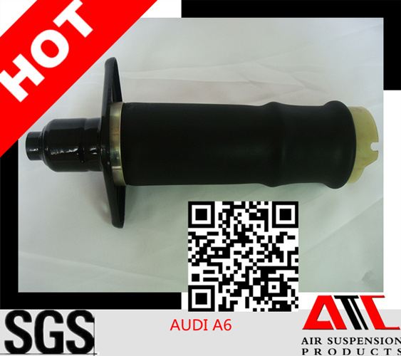 Rear Air Suspension for Audi Allroad A6 C5