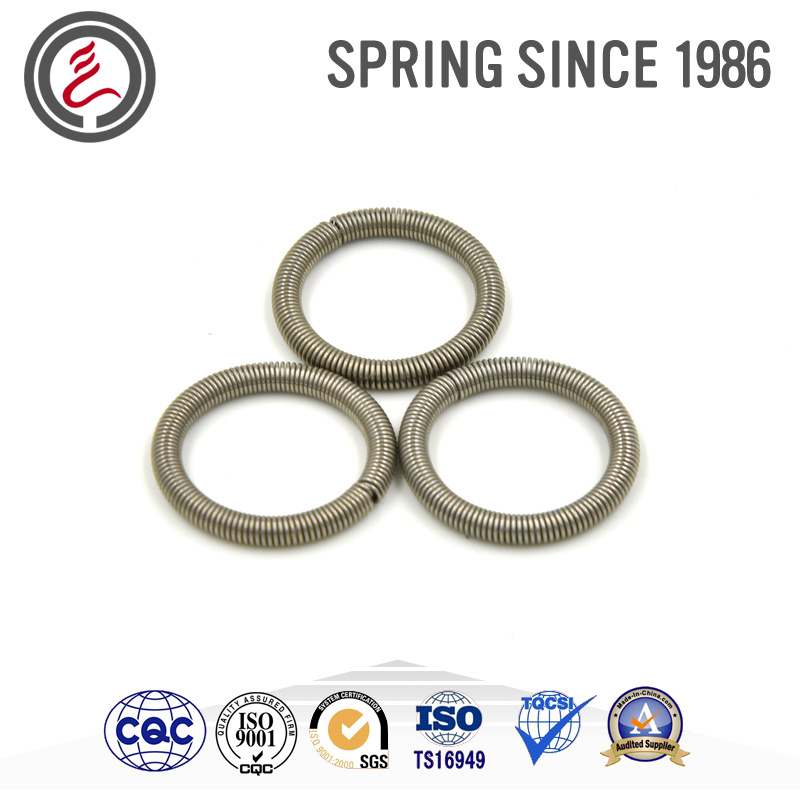 Sealing Elements Oil Seal Springs