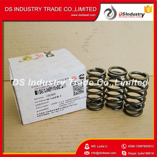 Cummins Engine Valve Spring 3916691 for 4bt/6bt