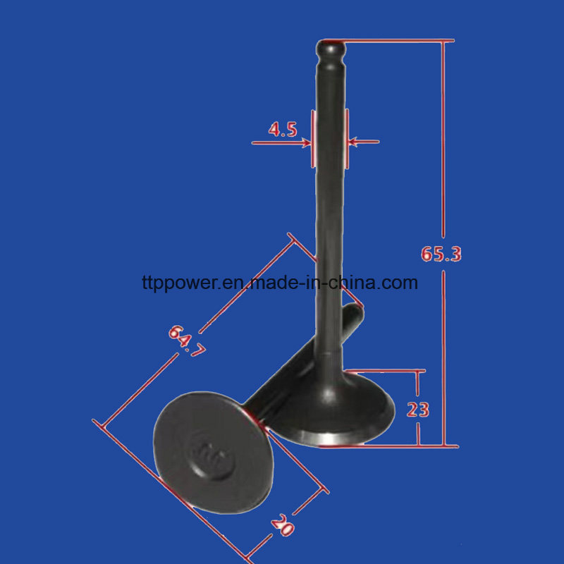 Motorcycle Valve Inlet/Exhaust Set for Yd100