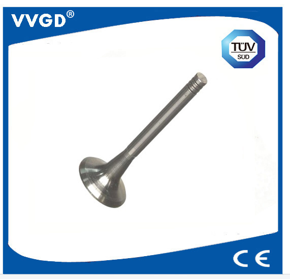 Auto Exhaust Valve for VW 034109611b