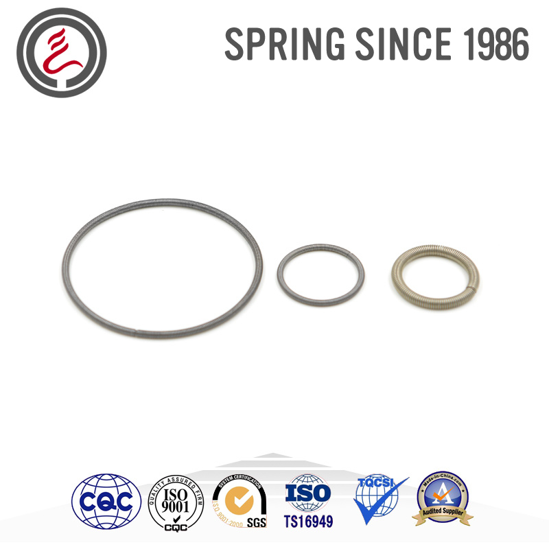 Valve Oil Seal Springs for Car Accessories