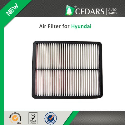 China Auto Parts Quality Supplier Air Filter for Hyundai