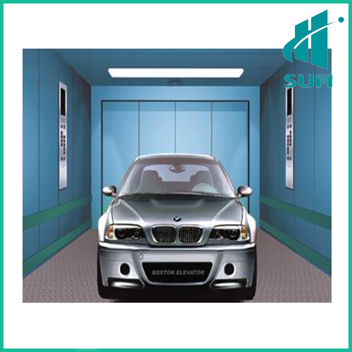Car Elevator for Villa Big Space