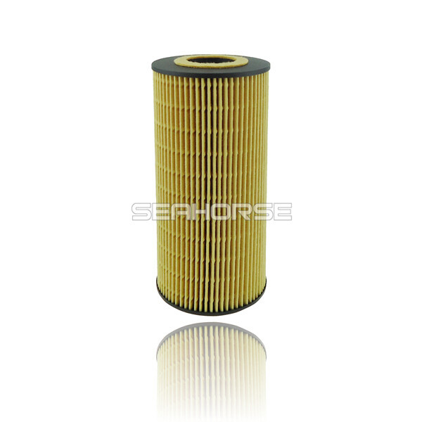 6021800009 Professional Supplier of Oil Filter for Vario Platform Car