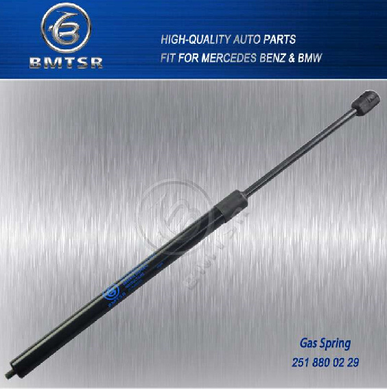 Cheap Gas Spring for Mercedes W251 2518800229