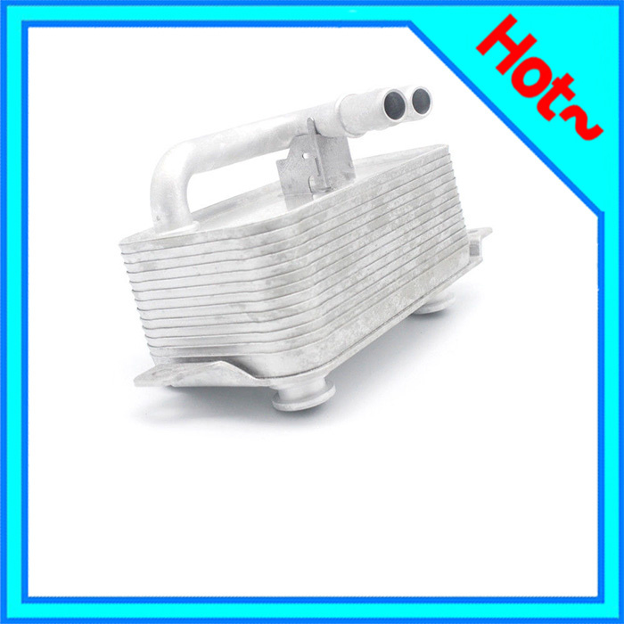 Auto Part Oil Cooler for BMW 5 Series (E60) 03- 17217519213