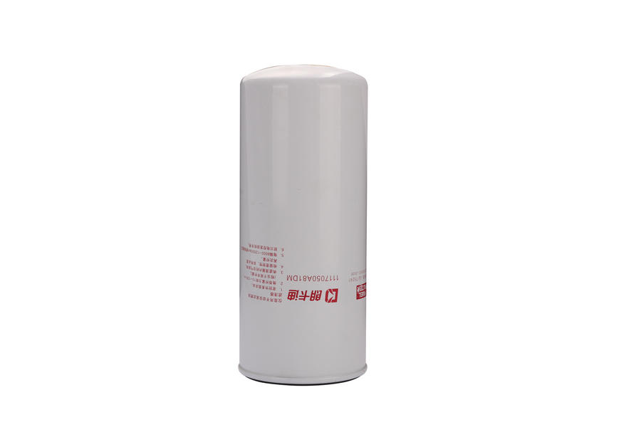 Auto Parts Fuel Filter 1117050A81dm for Fawde