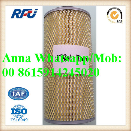 17801-75010 High Quality Auto Air Filter for Toyota (17801-75010)