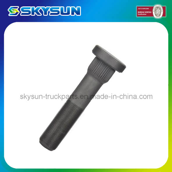 Auto/Truck Prats Grade 10.9 Bolt and Nut Daf (1308038)