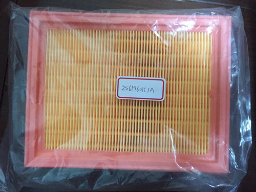 Air Filter 2S619601C1A for Ford