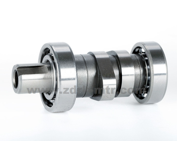 Cam Shaft Assy for Boxer-Bm100-Classic/CT100