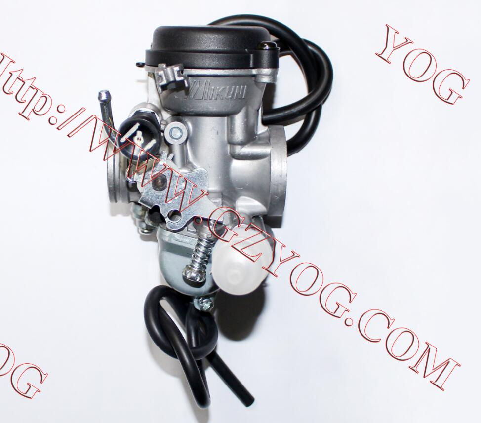Motorcycle Part Good Quality Carburetor En125 for Argentina